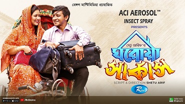 ঘরোয়া সার্কাস