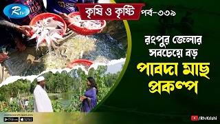 এক হাজার টাকা নিয়ে শুরু করে বর্তমানে কোটিপতি মৎস্য চাষী লুৎফর প্রধান